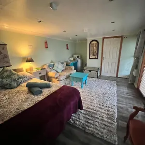 Cosy Apartment Belfast